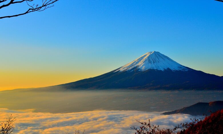 Bloomberg Report: Binance Japan plans to increase number of listed tokens to 100