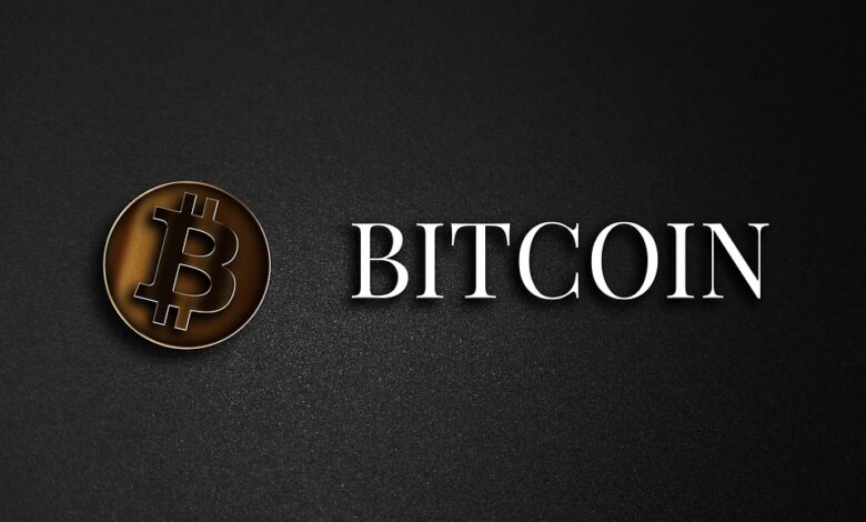 Bitcoin Cash Price Prediction as BCH Rockets Up 15% – Are Whales Choosing BCH Over BTC?