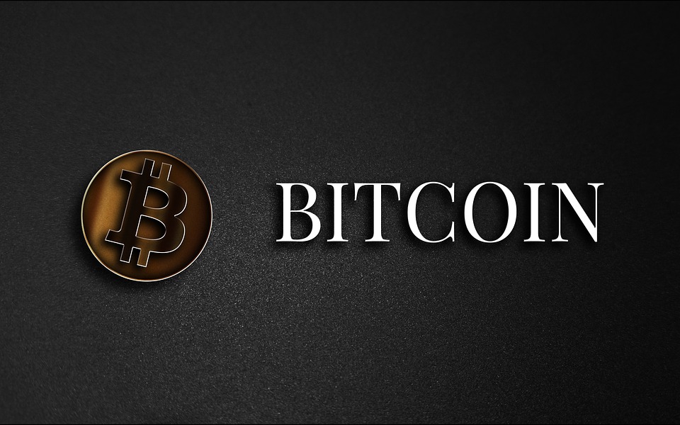 Bitcoin Cash-Kursprognose: BCH steigt um 15 % – Wählen institutionelle Investoren BCH statt BTC?