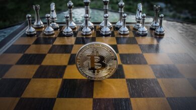 Bitcoin Shows Resilience Despite Rate Hike Concerns