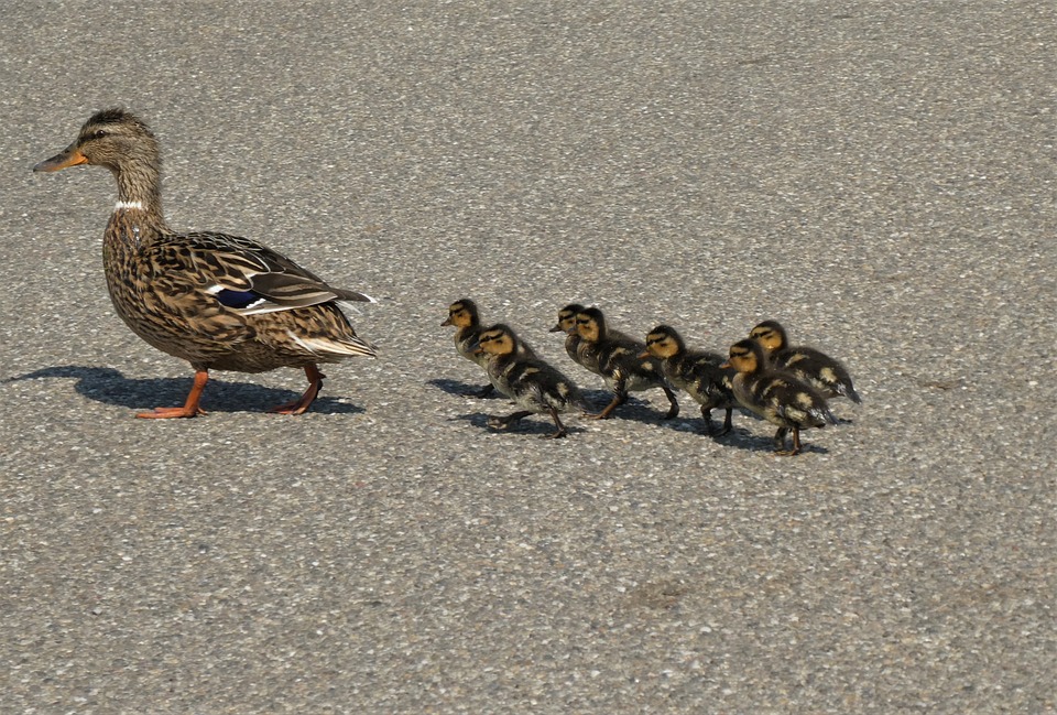 Crypto-Trader erklärt seine Wiedereinstiegsstrategie nach möglicher ETF-Entscheidung