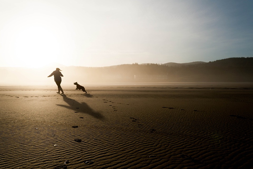 JPMorgan Chase optimistisch nach Börsenrückgang: Potential für hohe Gewinne bei bestimmten Aktien und begrenzte Verluste im Kryptomarkt.