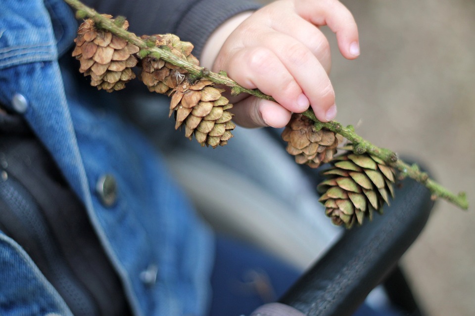 Ronaldinho erscheint nicht zur ‚Crypto Scam‘-Anhörung: Warum wurde der Fußballstar vorgeladen?