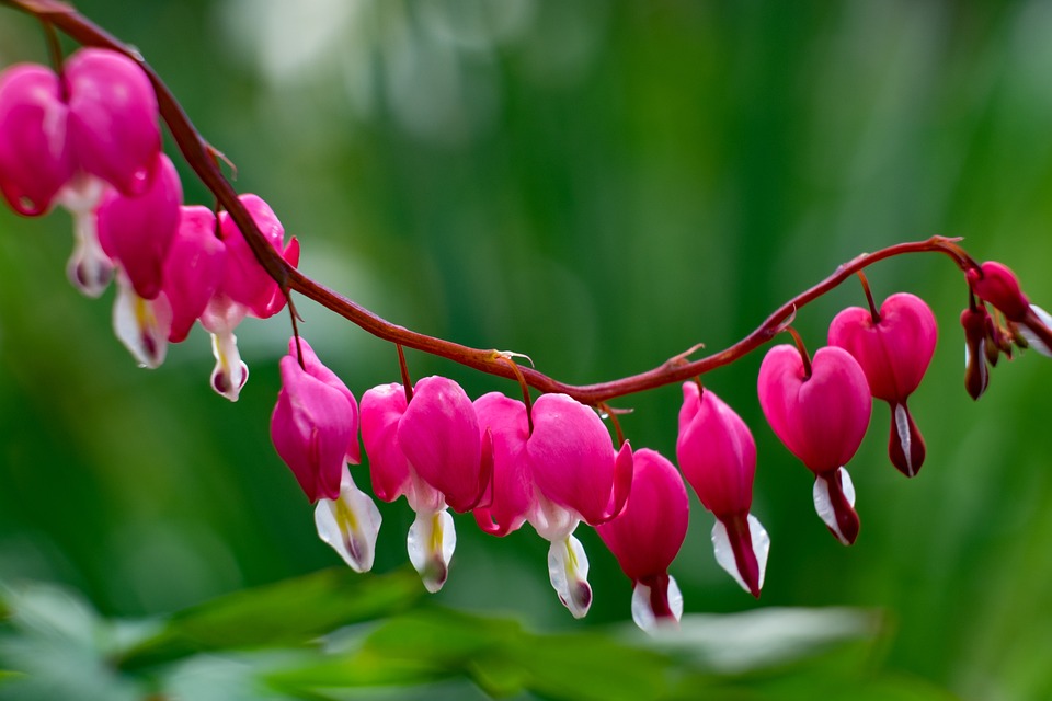 StarkWare stellt den Zugang zu den Krypto-Geldern einiger Benutzer wieder her, nachdem Beschwerden auf X eingegangen waren, dass ihre Geldbörsen nach einem technischen Upgrade ungerechtfertigterweise auf Null gesetzt wurden.