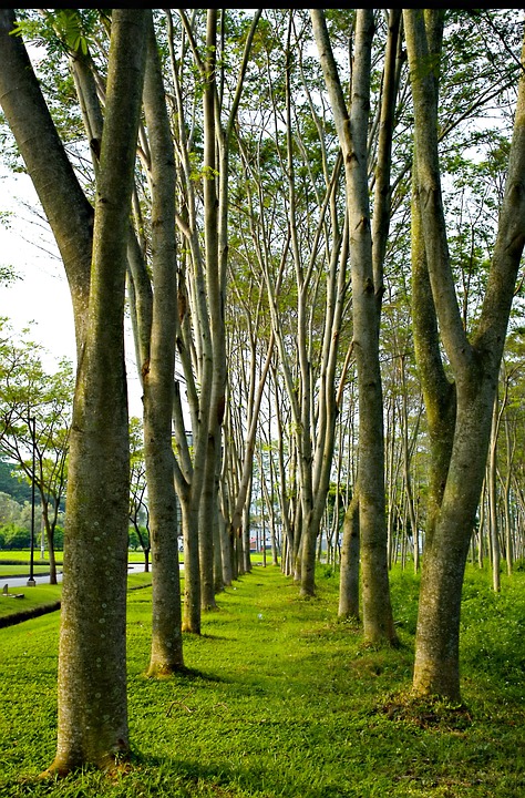 Trotz stagnierendem Kryptomarkt: Großinvestoren sammeln massive Mengen an Cardano (ADA) laut Analyseplattform