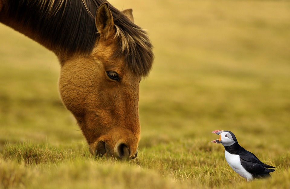 70% der gemeldeten Vermögenswerte Südkoreas sind Kryptowährungen: Wachsende Akzeptanz und steigendes Interesse an digitalen Assets
