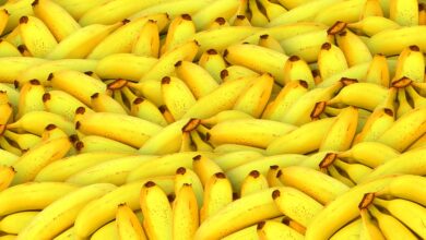 Is It Too Late to Buy Banana? BANANA Price Gains 18% as World’s First “All-in-One” AI Ecosystem Closes in on $4 Million