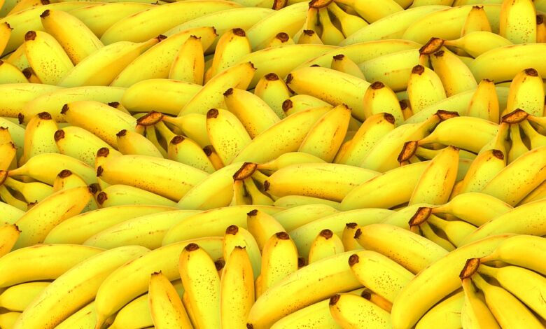 Is It Too Late to Buy Banana? BANANA Price Gains 18% as World’s First “All-in-One” AI Ecosystem Closes in on $4 Million