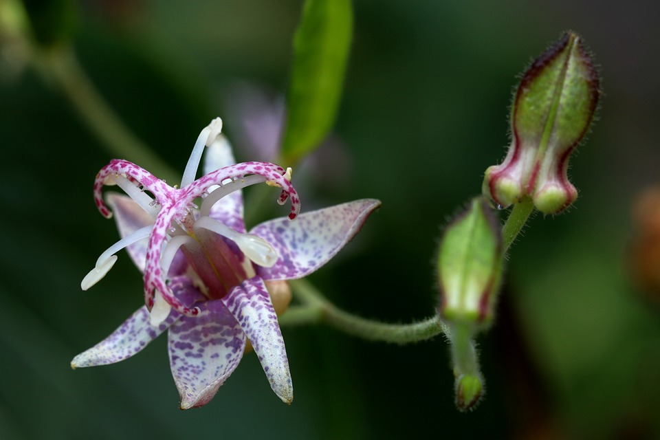 Binance hilft bei der Wiedererlangung gestohlener Kryptowerte von NFT God nach Hackerangriff.