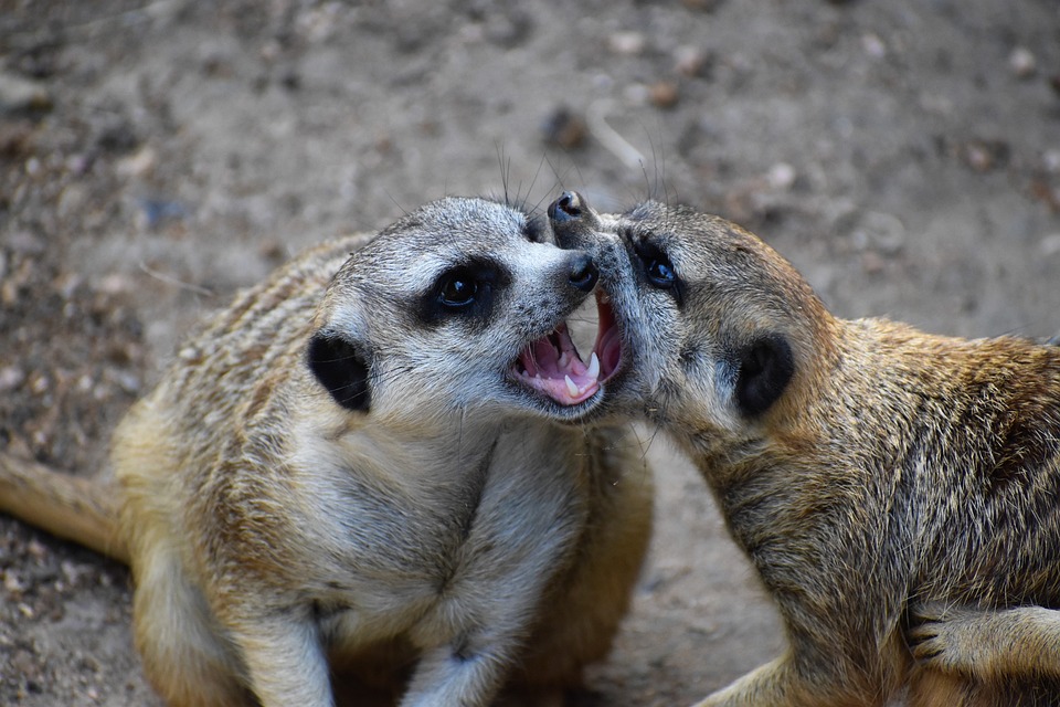 Binance kämpft mit einem zunehmenden regulatorischen Druck und Verlust von Marktanteilen unter Krypto-Börsen.