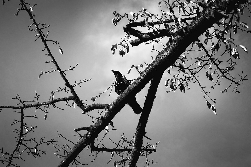 Bitcoin-Gewinne nach Grayscales Gerichtssieg gegen die SEC verschwunden: ETFs weiterhin in der Warteschleife.