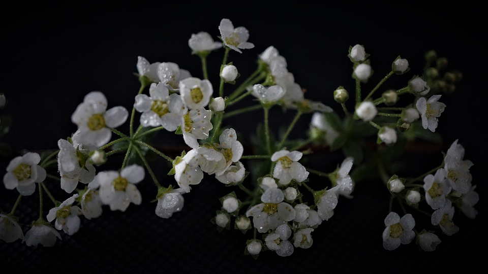 Bitcoin-Kurs bleibt stabil über 26.000 $, während FTX Genehmigung zum Verkauf von Kryptowährungen erhält und US-Inflationsdaten leicht über den Erwartungen liegen.