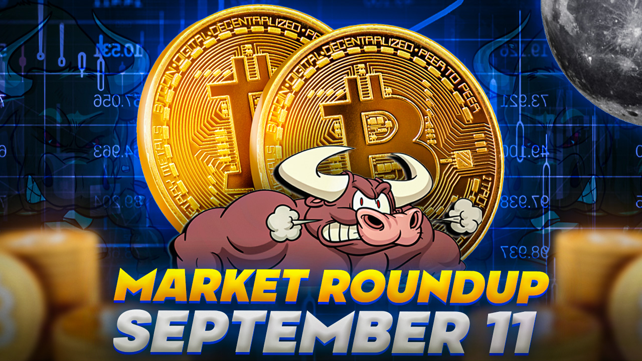 Bitcoin-Kurs im Sinkflug: Was steckt hinter der Marktverunsicherung?