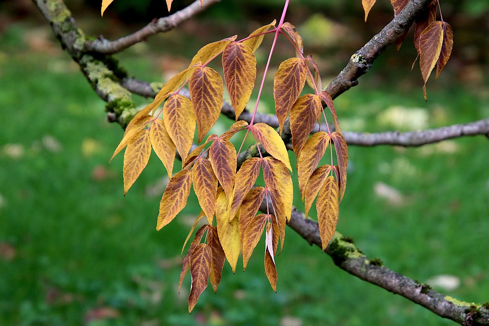 Bitcoin-Volatilität bleibt gedämpft: Kryptotrader erwarten stabilen Markt aufgrund der Entscheidung der US-Notenbank