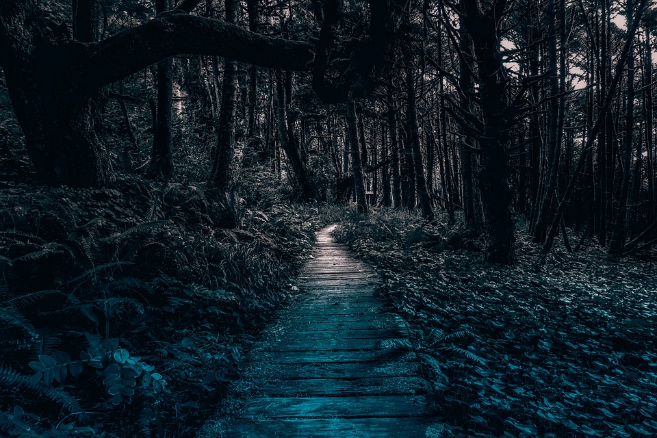 Bitcoin-Volatilität bleibt trotz Fed-Entscheidung gedämpft, da Investoren keine Überraschungen erwarten.