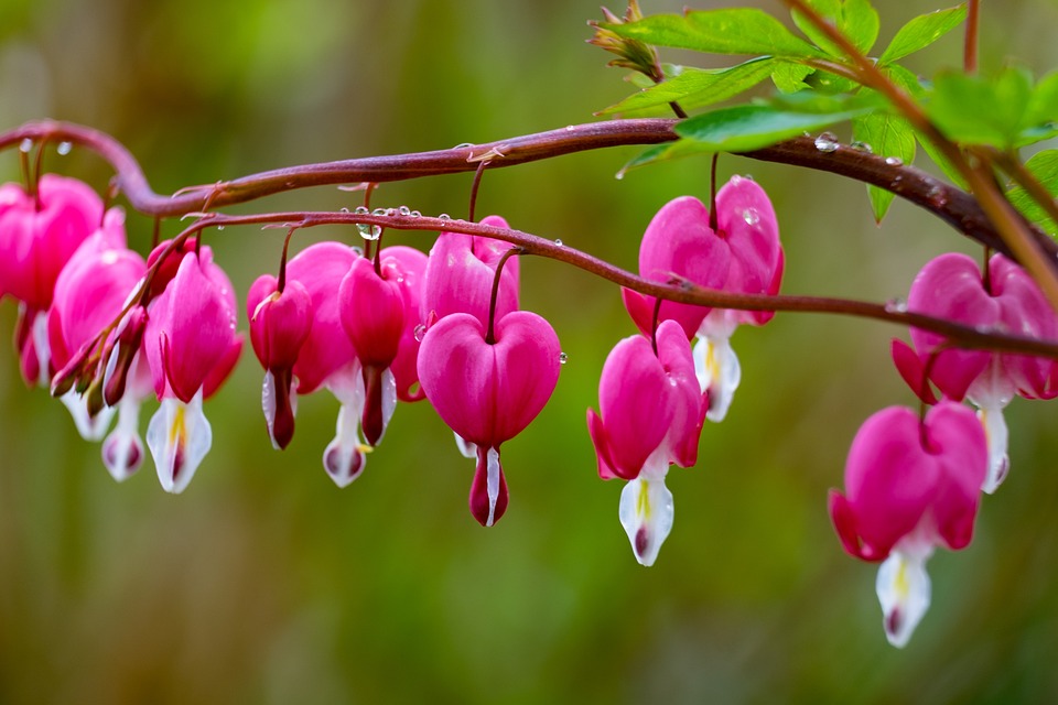 Bitget stellt beeindruckendes Upgrade seiner API vor, um Koinlys Steuerberichtsplattform effektiver zu integrieren.