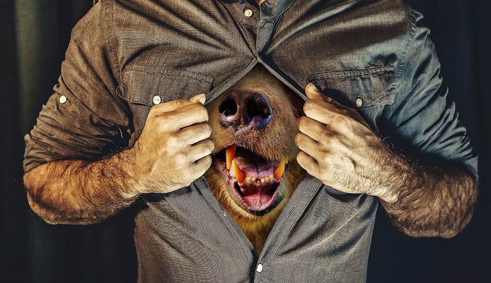 Britischer Mann verliert Millionen bei Zusammenbruch der Krypto-Börse FTX: Größter Verlust eines Briten infolge des Skandals