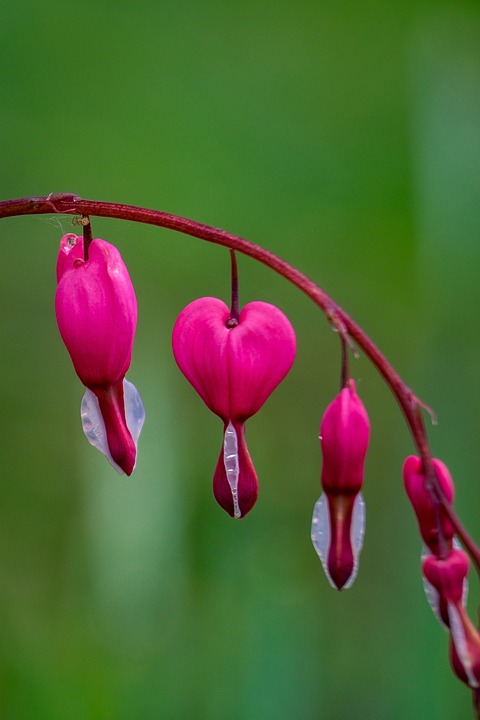 Bybit stellt Betrieb in Großbritannien ein aufgrund neuer Finanzvorschriften der FCA