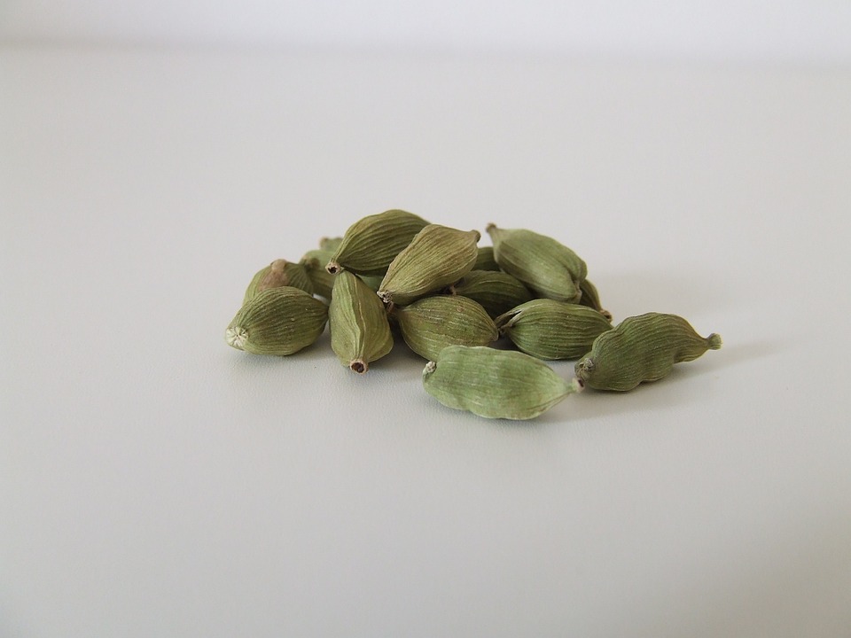 Cardano Preisprognose: ADA steigt um 0,5% – Wie hoch kann diese Münze steigen?