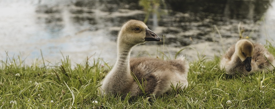 CoinEx bietet Hackern großzügige Belohnung für Rückgabe gestohlener Kryptowährungen