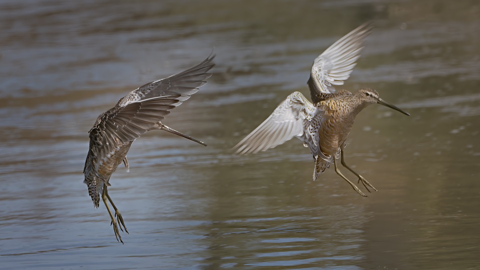 Coinbase erweitert internationale Expansion, Coinbase Ventures investiert, LBRY legt Berufung ein, Riot erhält Energiekredite, IMF und FSB warnen vor Totalverbot, Finery Markets gewinnt neuen Berater.