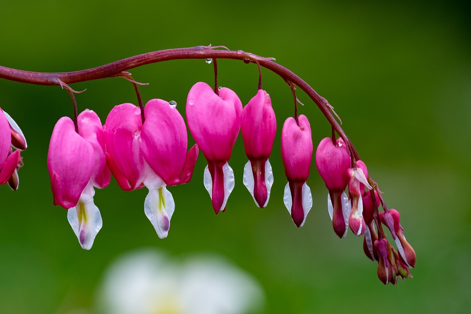 Coinbase stellt neues Kryptokreditprogramm für institutionelle Kunden vor