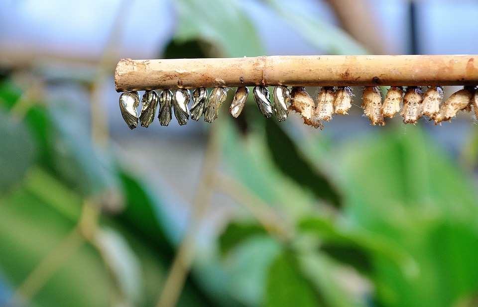 Crypto-Casino Rollbit schließt Handelsplattform wegen regulatorischer Unsicherheit und geringer Akzeptanz.