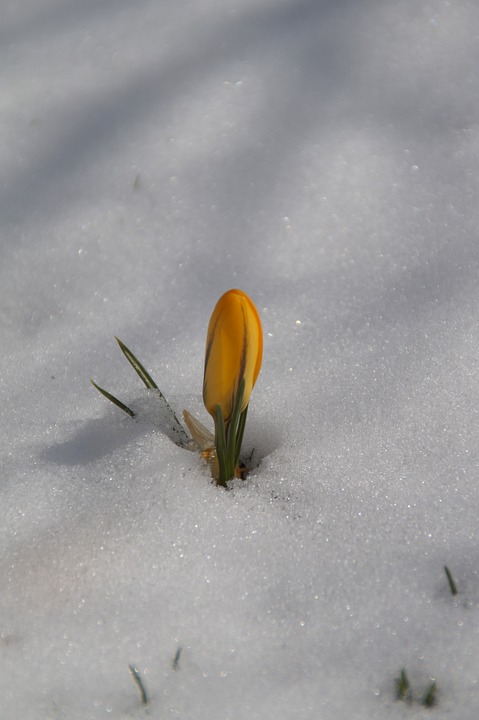 DeFi Highlights: BNB Smart Chain L2, Synapse Chain, Liquid Staking on Cosmos – A busy week in DeFi with new developments and upgrades across various chains. Stay tuned for more!