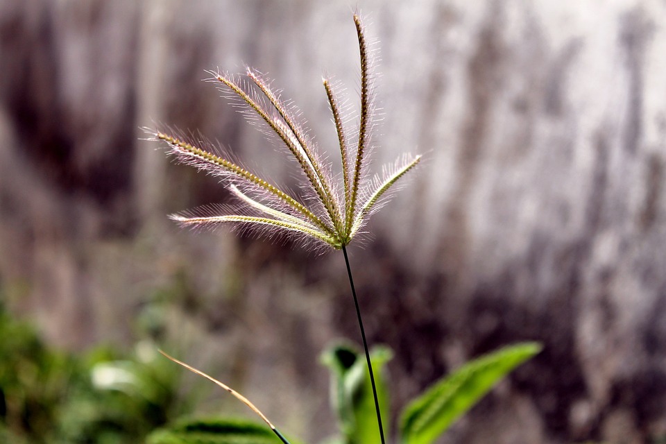 Die besten Kryptowährungen, ICOs und Glücksspiel-Seiten: Eine Übersicht