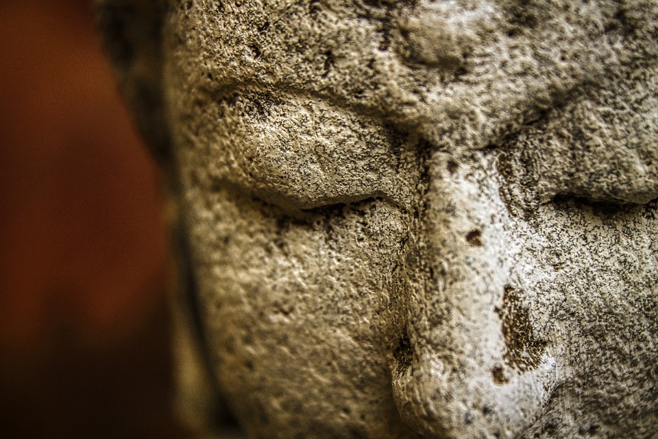 Dogelon Mars (ELON) übertrifft andere Altcoins in sozialen Metriken auf beeindruckende Weise