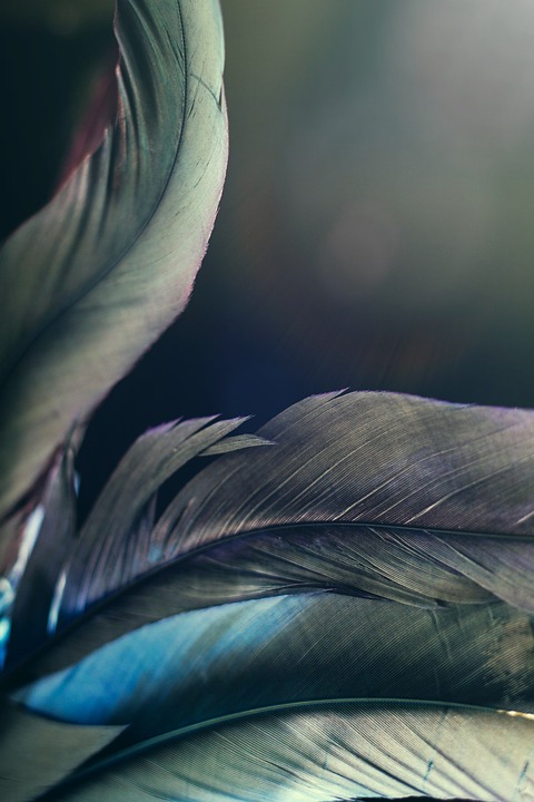 FASB beschließt neue Rechnungslegungsregeln für Kryptowährungen – Unternehmen können Gewinne aus Krypto-Beständen nun offiziell verbuchen.