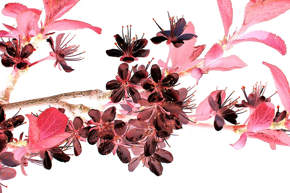 FTX verändert Verkaufsvorschlag für Kryptoassets, um Bedenken der US-Konkursabteilung auszuräumen und Beeinflussung des Kryptomarktes zu verhindern.