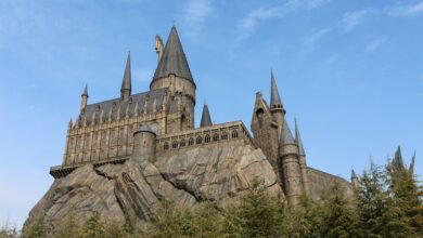 Harry Potter Stars Clash with Ripple Executive Over London Home Renovation Plans – What