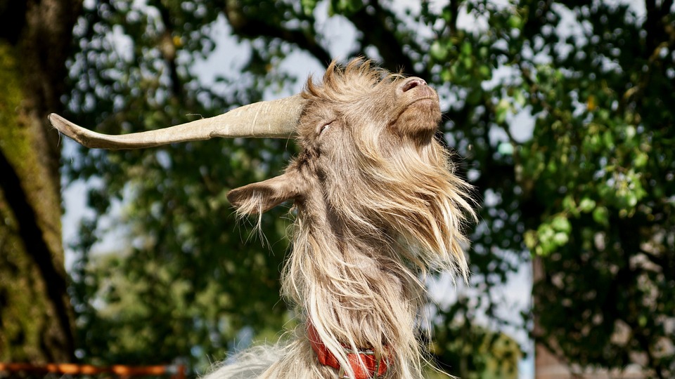 Massenentlassungen und Regulierungsdruck: Binance US steht vor entscheidendem Wendepunkt