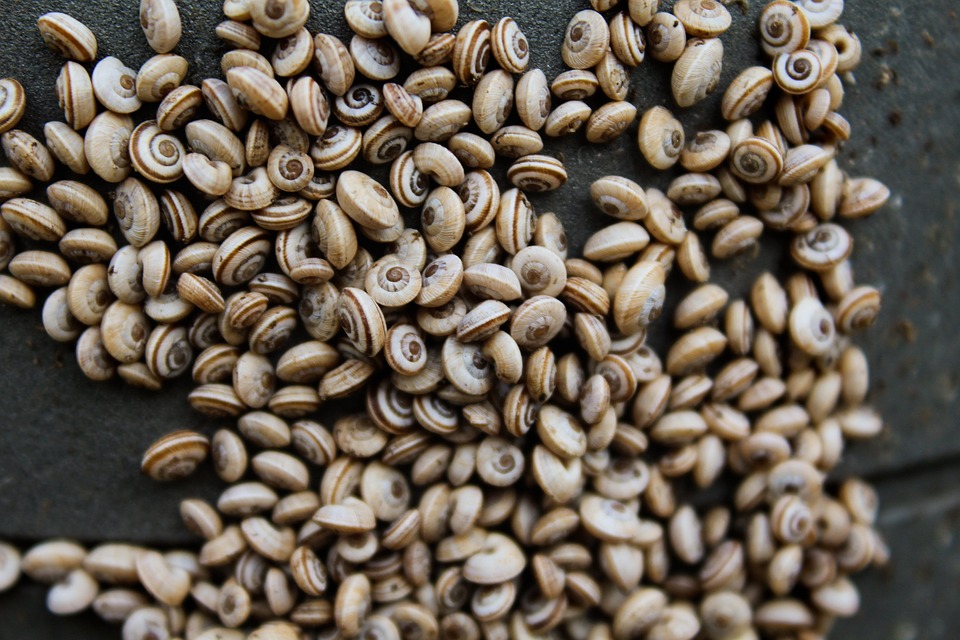 Mehrere Millionen Dollar verloren: Mixin Network erleidet schweren Hack-Angriff auf die Datenbank.