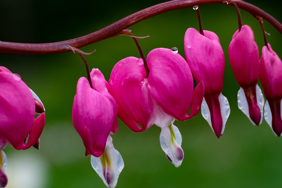 MetaMask stellt neue Funktion vor und ermöglicht Unterstützung für größte Blockchain-Netzwerke weltweit