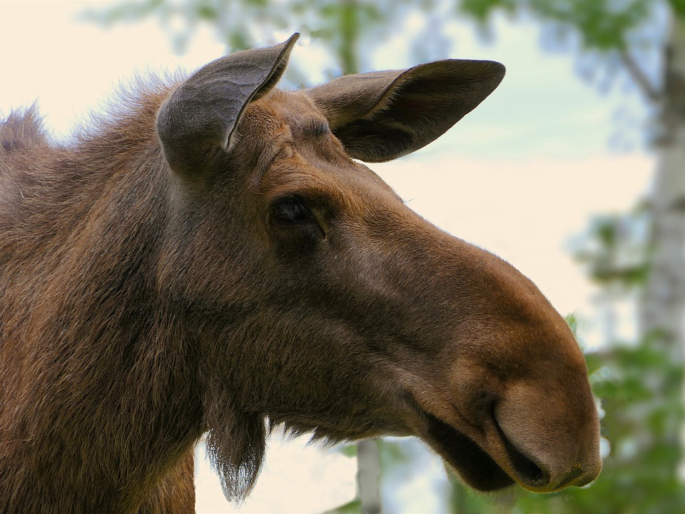 Momentum bei kleinen Kryptowährungen: Warum einige Altcoins trotz rückläufigem Markt stark zulegen.