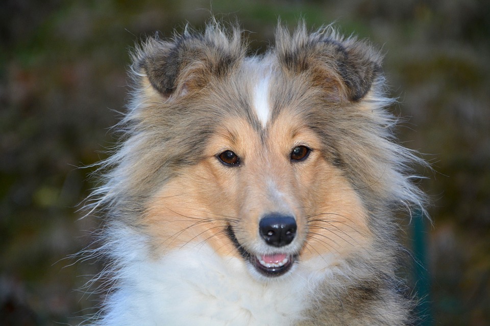 Mt. Gox verlängert Frist zur Rückzahlung von $3,7 Milliarden in Bitcoin und Bitcoin Cash an Gläubiger um ein Jahr.