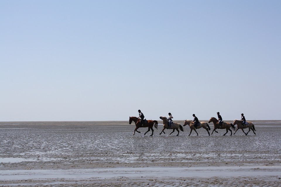 PayPal erleichtert US-Kunden mit neuem „Off Ramp“-Feature den Zugang zu Krypto-Wallets, DApps und NFT-Marktplätzen.