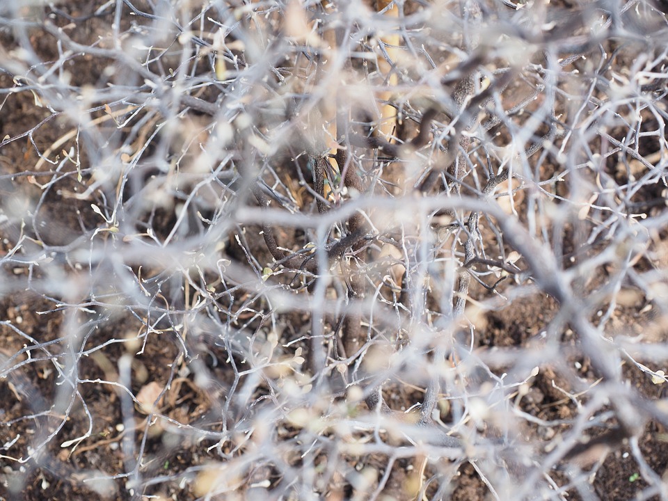 Raoul Pal prognostiziert eine gigantische Steigerung der Marktkapitalisierung digitaler Assets während des nächsten Bullenmarktes.