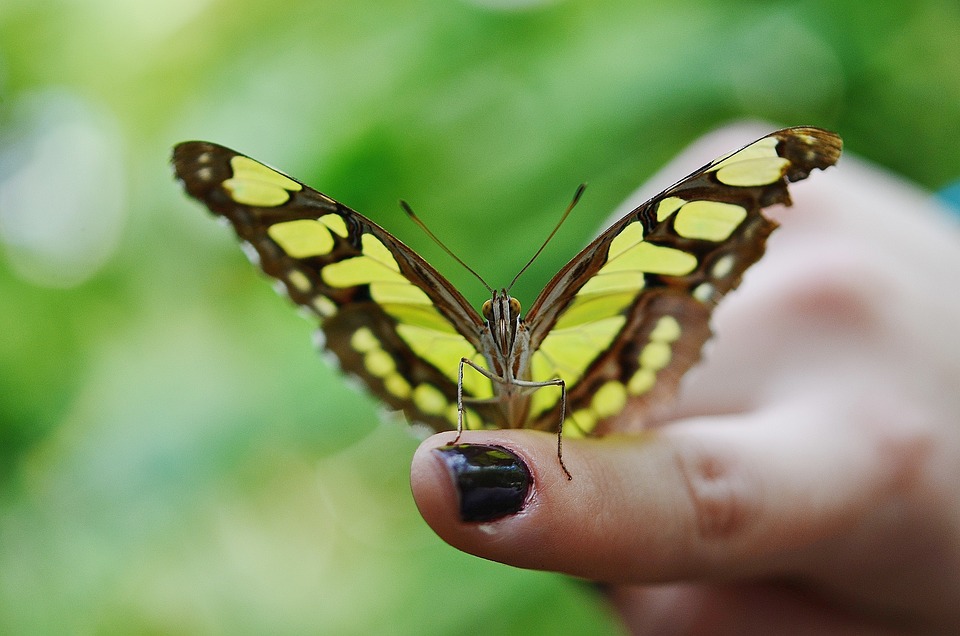 Robinhood schließt milliardenschweren Aktienrückkauf mit US Marshal Service ab, während FTX-Gründer SBF mit Rechtsstreitigkeiten und Partnerschaftsproblemen zu kämpfen hat.