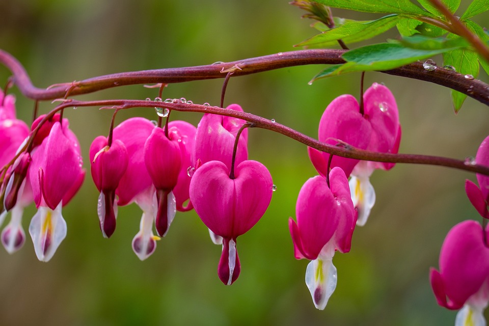 SEC stellt Binance US in Frage: Unsichere Vermögensverwaltung und Kollision von Zuständigkeiten