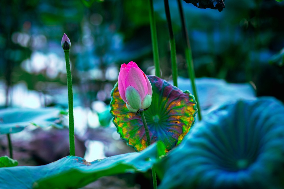 Sen. Kirsten Gillibrand drängt weiterhin ihre Kollegen im Senat, regulierende Maßnahmen für Kryptowährungen zu ergreifen, während der Kongress auf eine Regierungsschließung zusteuert.