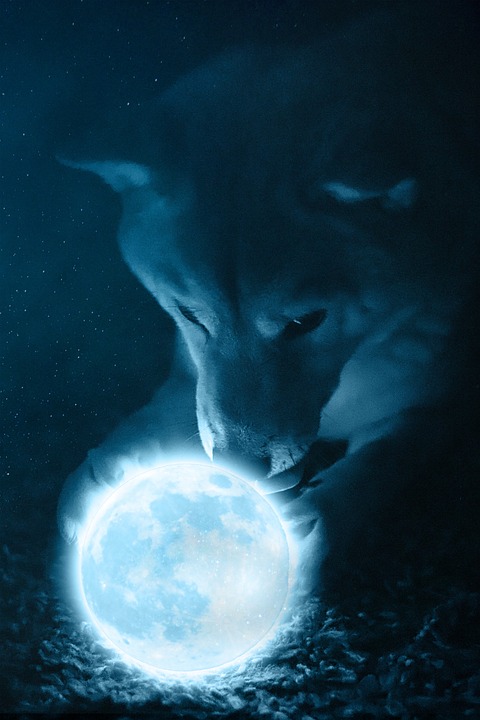 Shiba Inu-Preisprognose: $100 Millionen Handelsvolumen – Kaufen oder Verkaufen Wale?