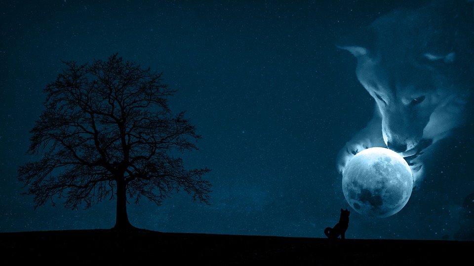 Shiba Inu (SHIB) Preisprognose: SHIB-Preis kommt nicht voran. Ist er am Ende?