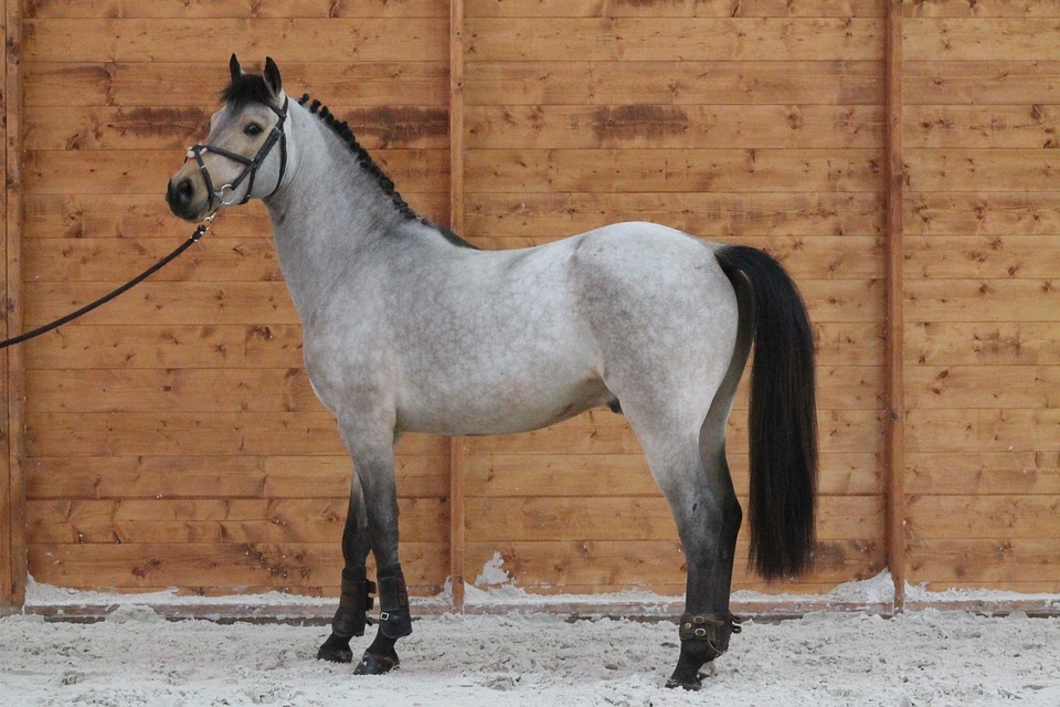 Standard Chartered’s Krypto-Tochter Zodia Custody bietet neuen Service für erzielbare passive Einnahmen aus digitalen Vermögenswerten