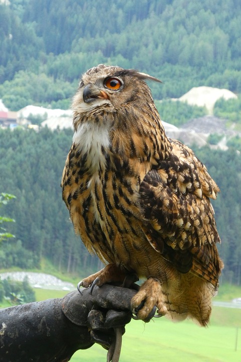 US-Haushaltsdefizit 2023 erreicht voraussichtlich 1,7 Billionen US-Dollar – 13% höher als Prognose von vor vier Monaten.