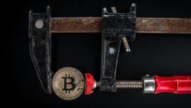 Bitcoin Price Faces 210,000 BTC US Government Sales Tsunami, Buy Bitcoin BSC ($BTCBSC) After it Raises $5m As The Best Alternative?