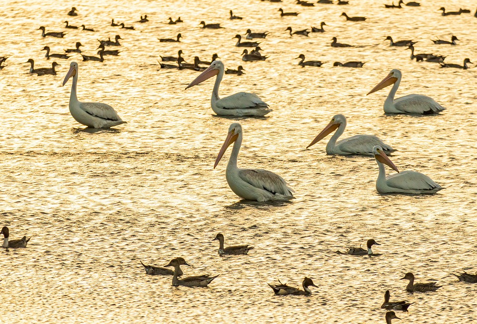 Venmo bietet ausgewählten Nutzern die Möglichkeit, PayPal USD Stablecoin zu kaufen und zu senden.