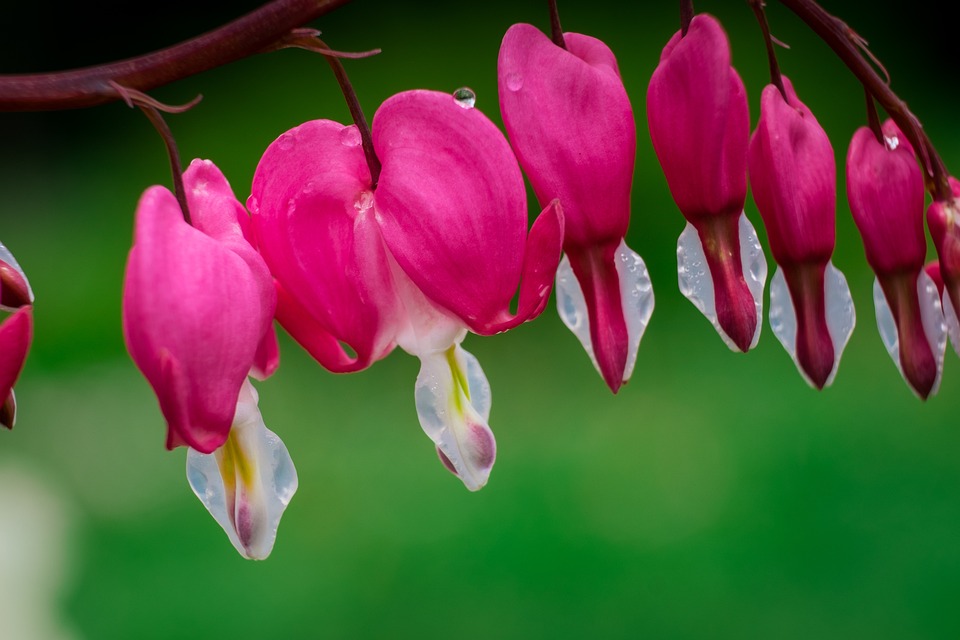 Vypr stellt weltweit ersten Krypto-Chat-Assistenten mit KI vor, der das Nutzererlebnis im Bereich der Blockchain-Innovationen und Kryptotransformationen revolutioniert.